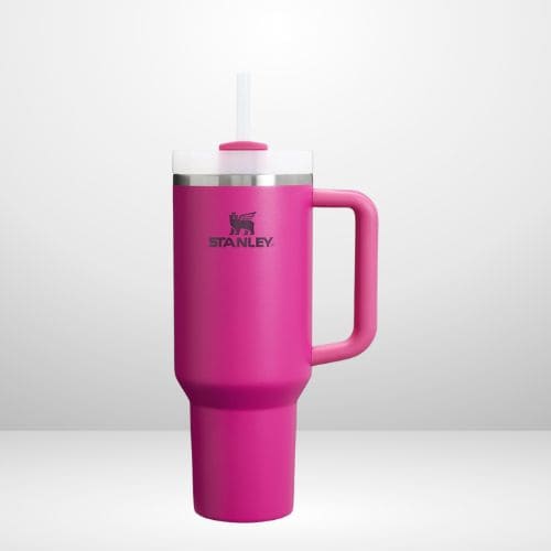 StanleyTumblerFuchsia